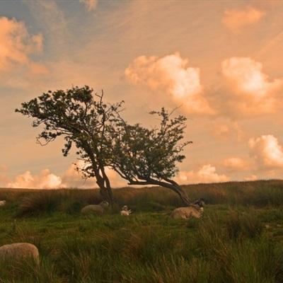 香港2023正版免费资料